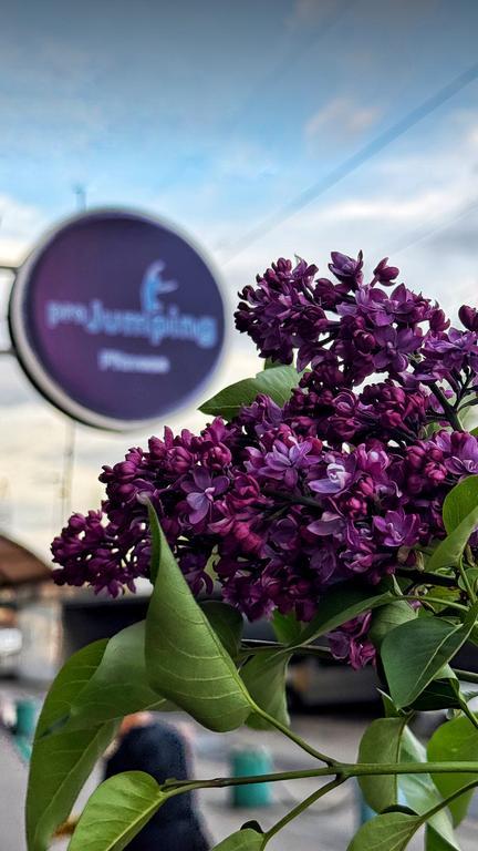 ProJumping.kz — фото 22