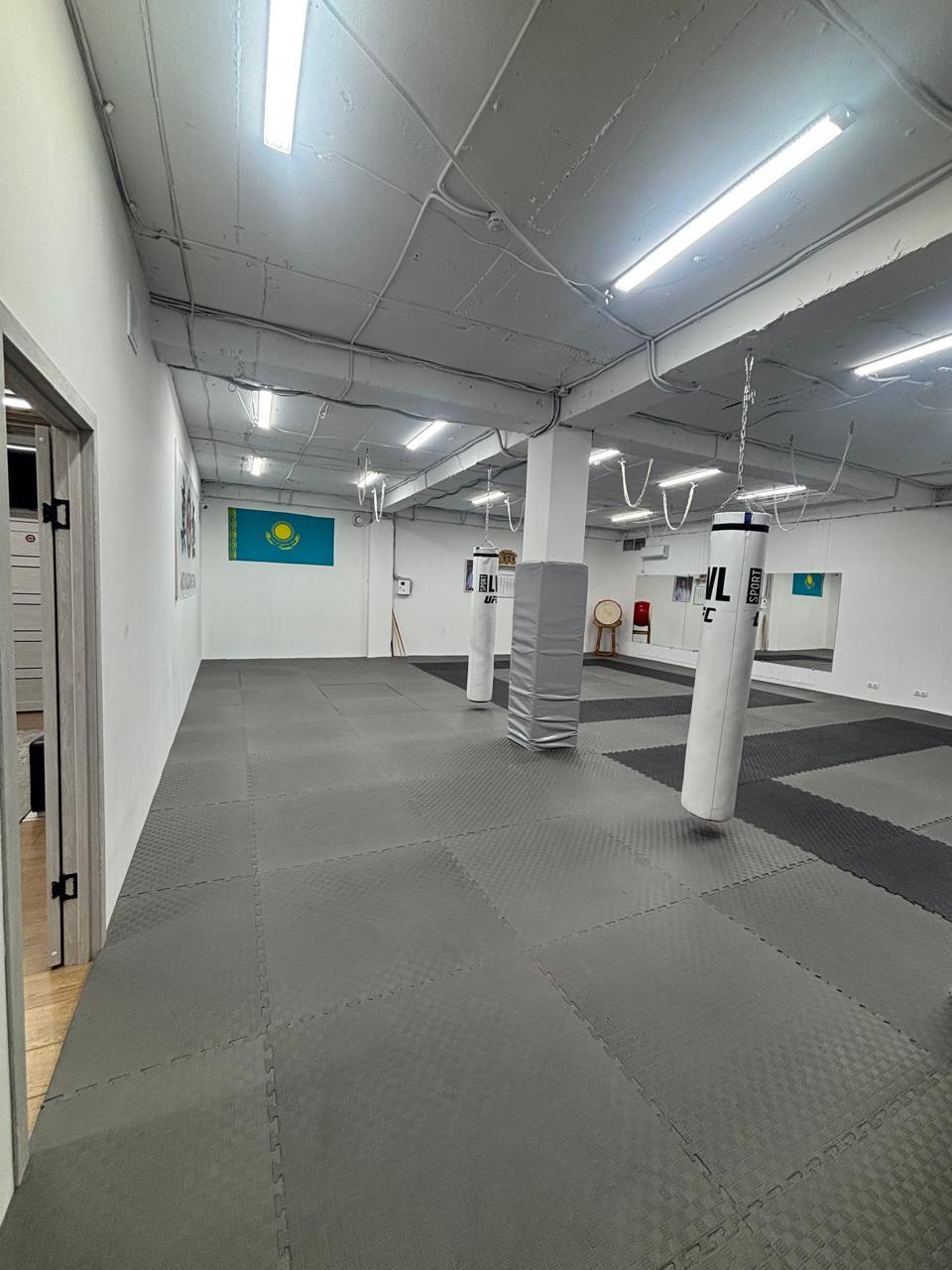 Bars Checkmat Almagul studio image
