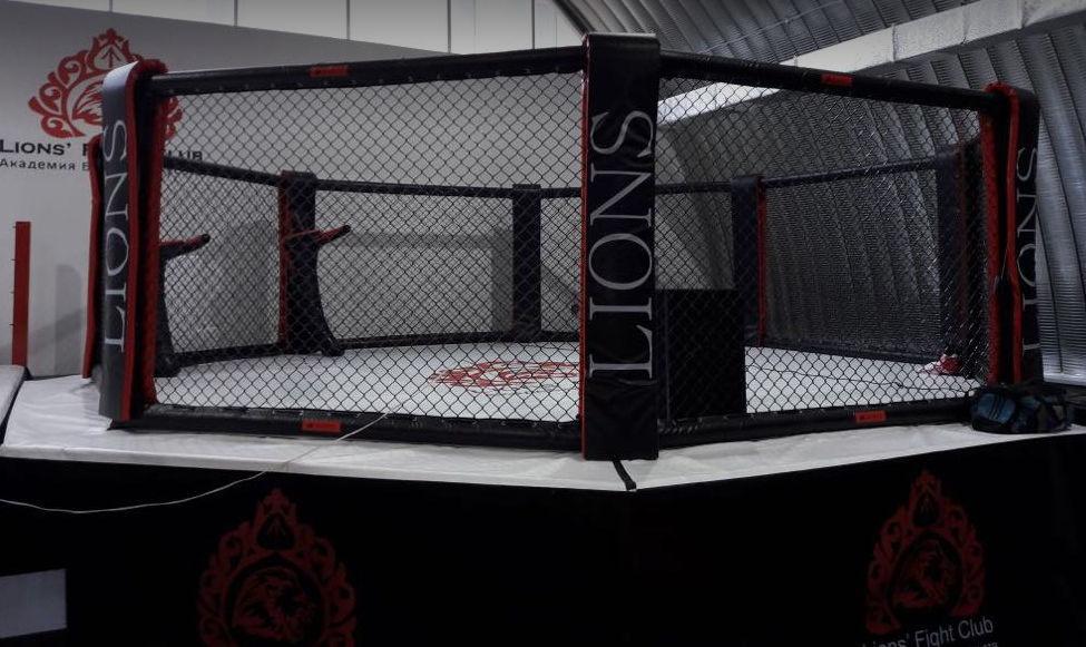 Lions Fight Club — фото 8