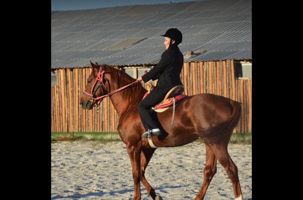 Arqymaq — фото 4