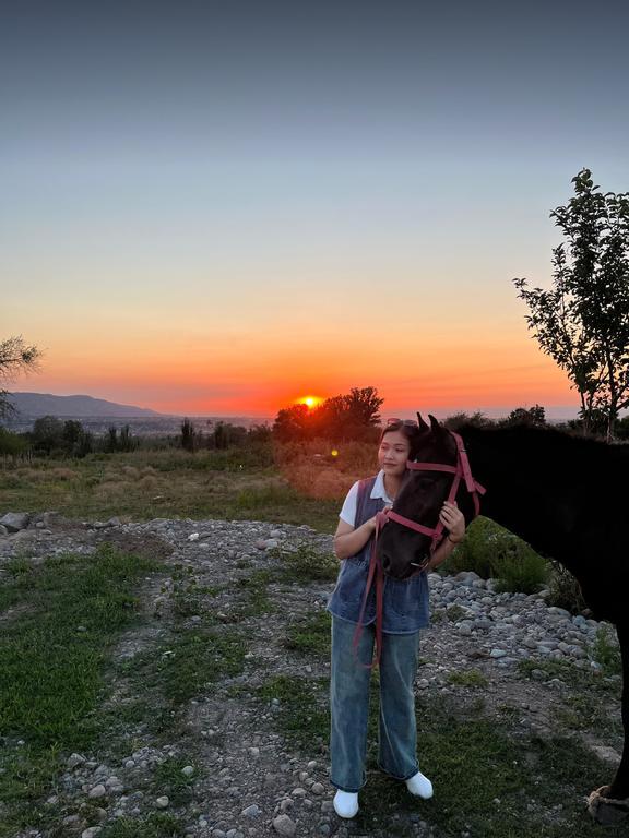 Altyn tuyaq конный клуб — фото 3