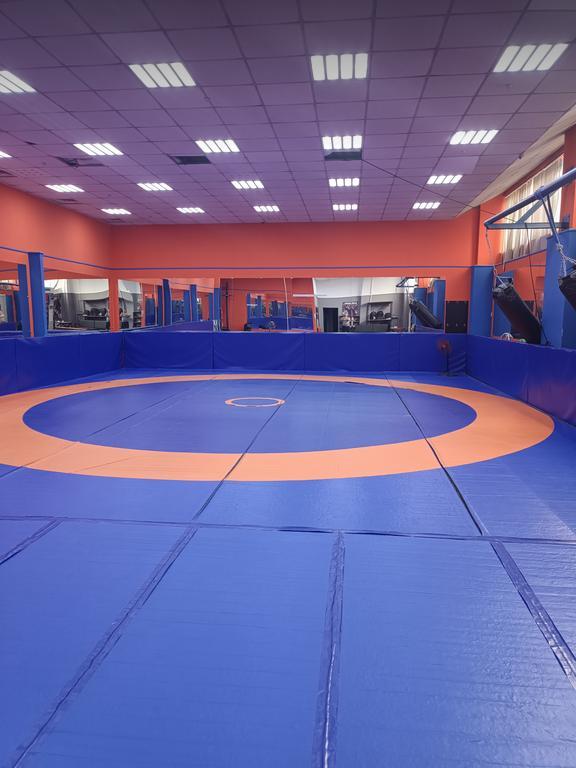 Golden warrior — фото 1