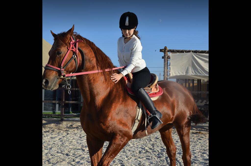 Arqymaq — фото 6