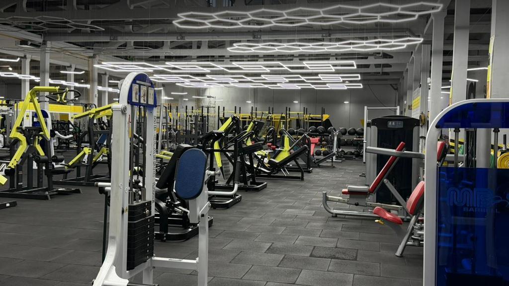 Alpha Gym — фото 14