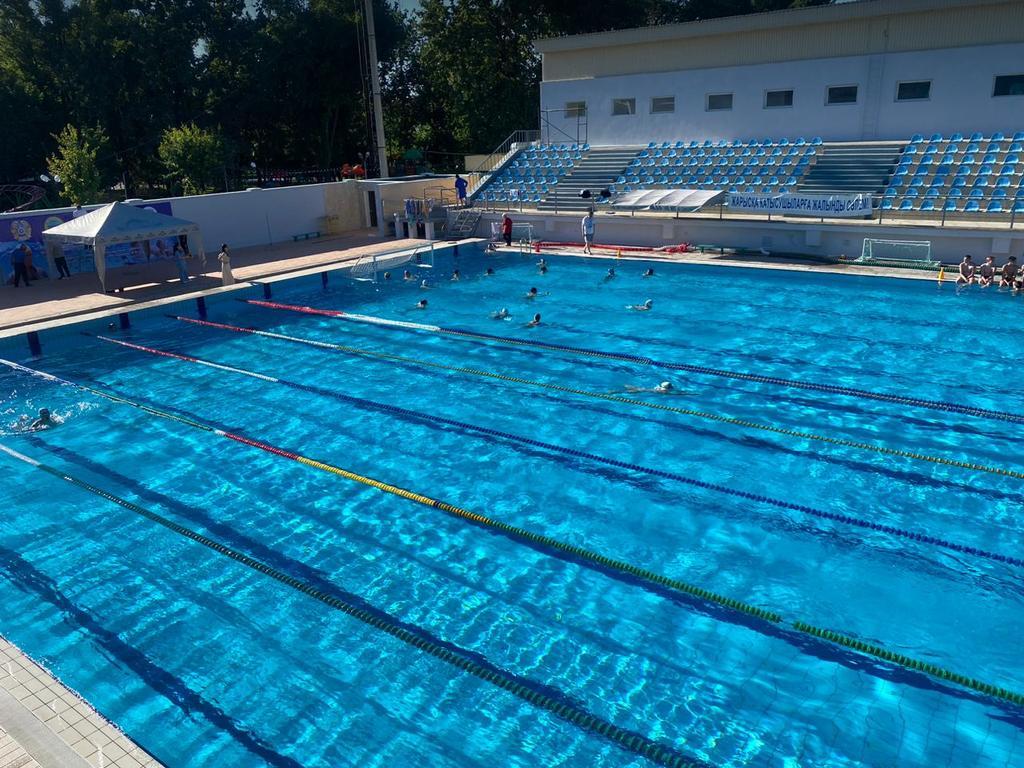 Дельфин — фото 3