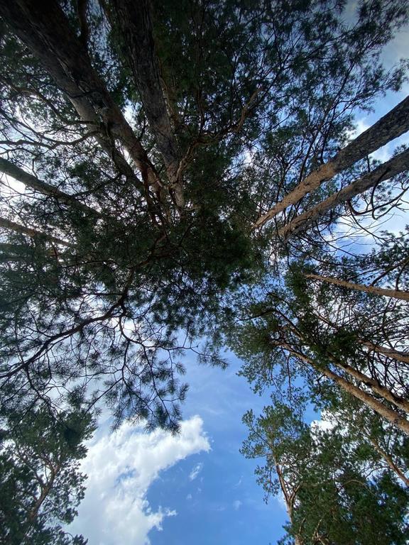 Эко-тропа Святой Ключ — фото 2