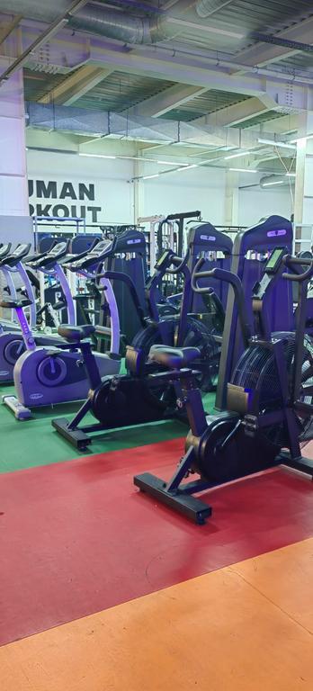 AYUMAN WORKOUT — фото 11