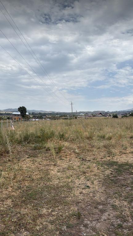 etalon horse club — фото 5