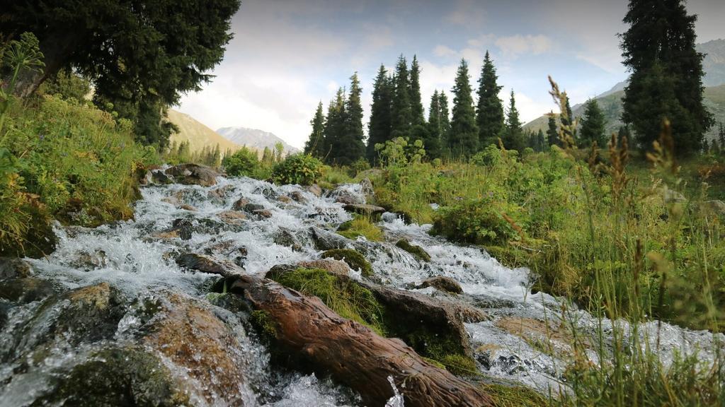 Move&Heal — фото 2