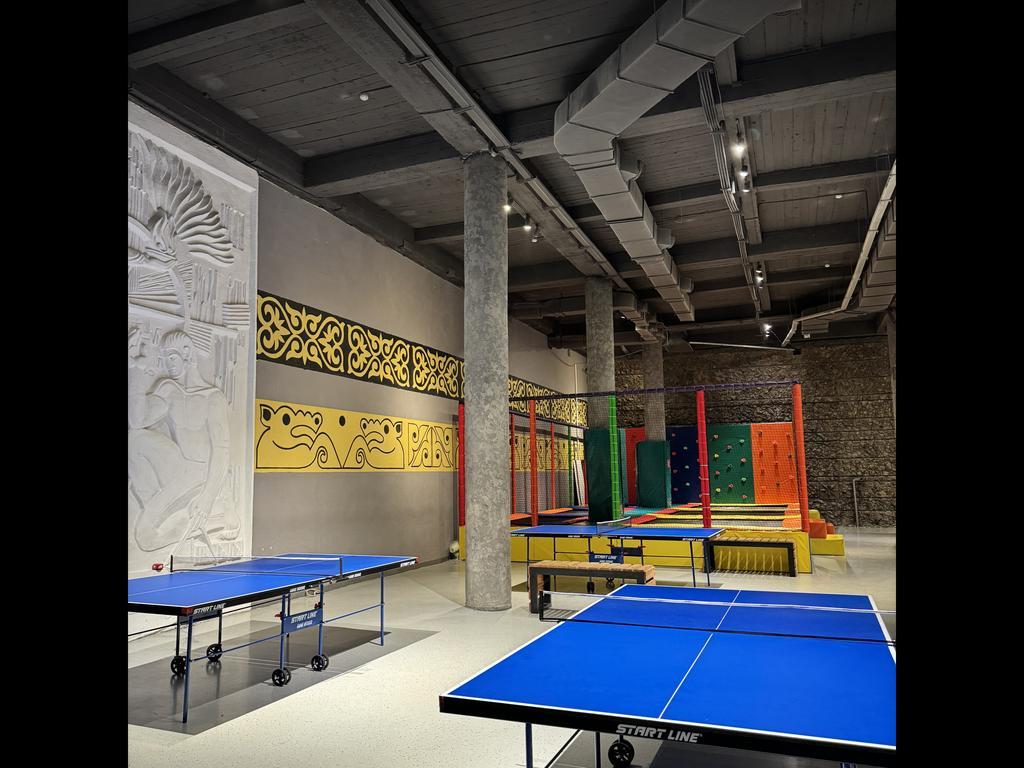 DOSTYK PING PONG — фото 2