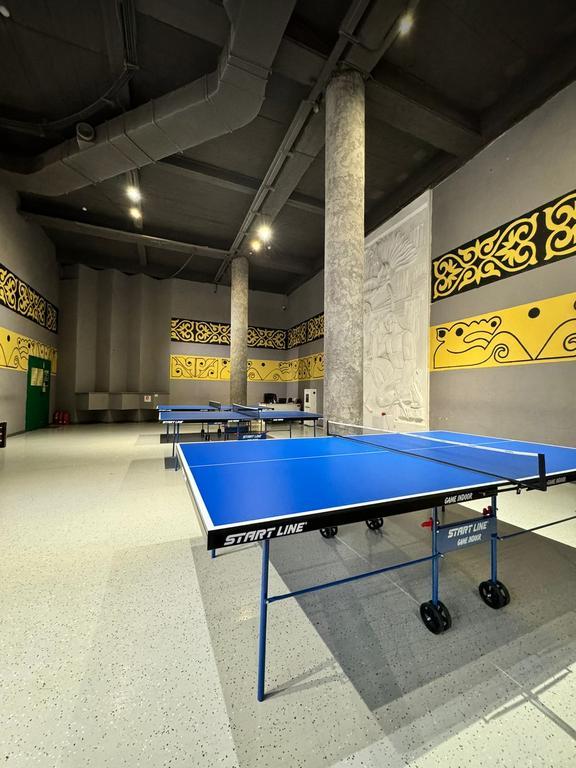 DOSTYK PING PONG — фото 5