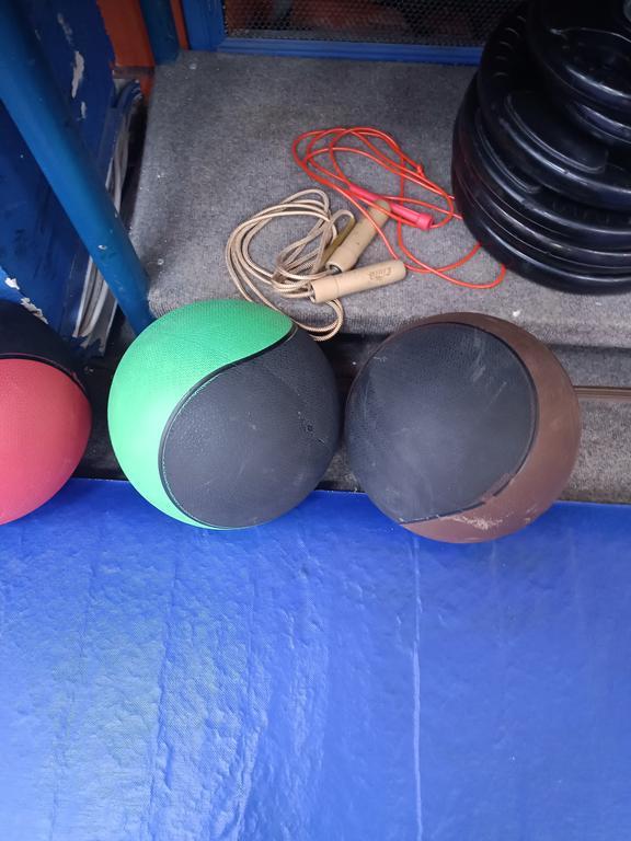 Golden warrior — фото 2