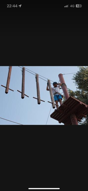 Green Land — фото 4