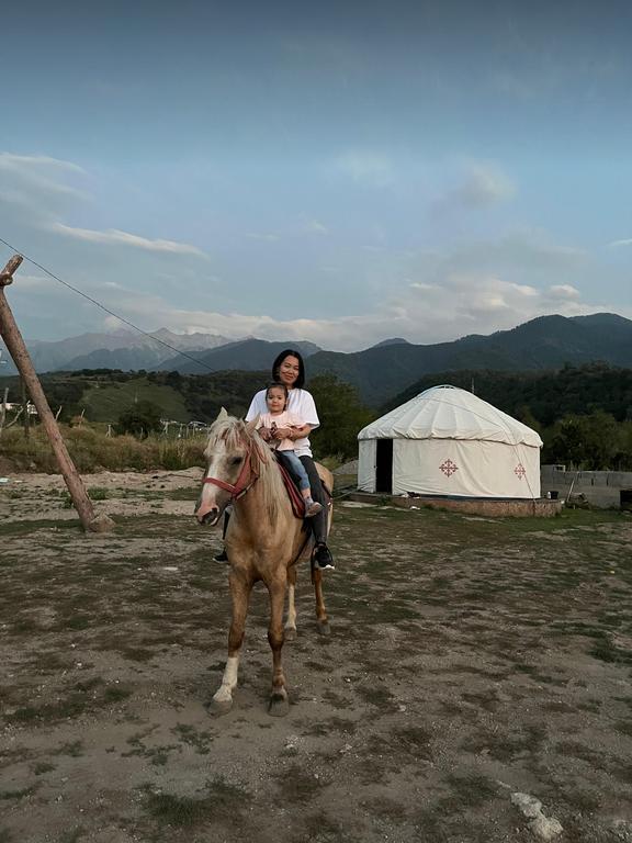 Altyn tuyaq конный клуб — фото 1