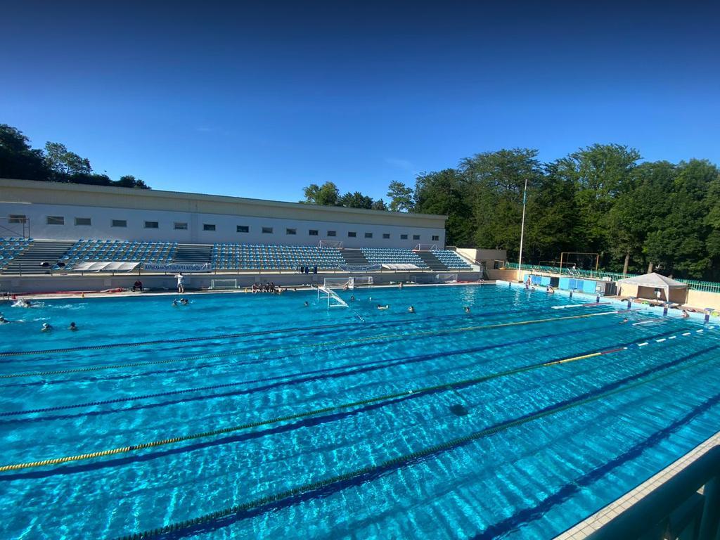 Дельфин — фото 1