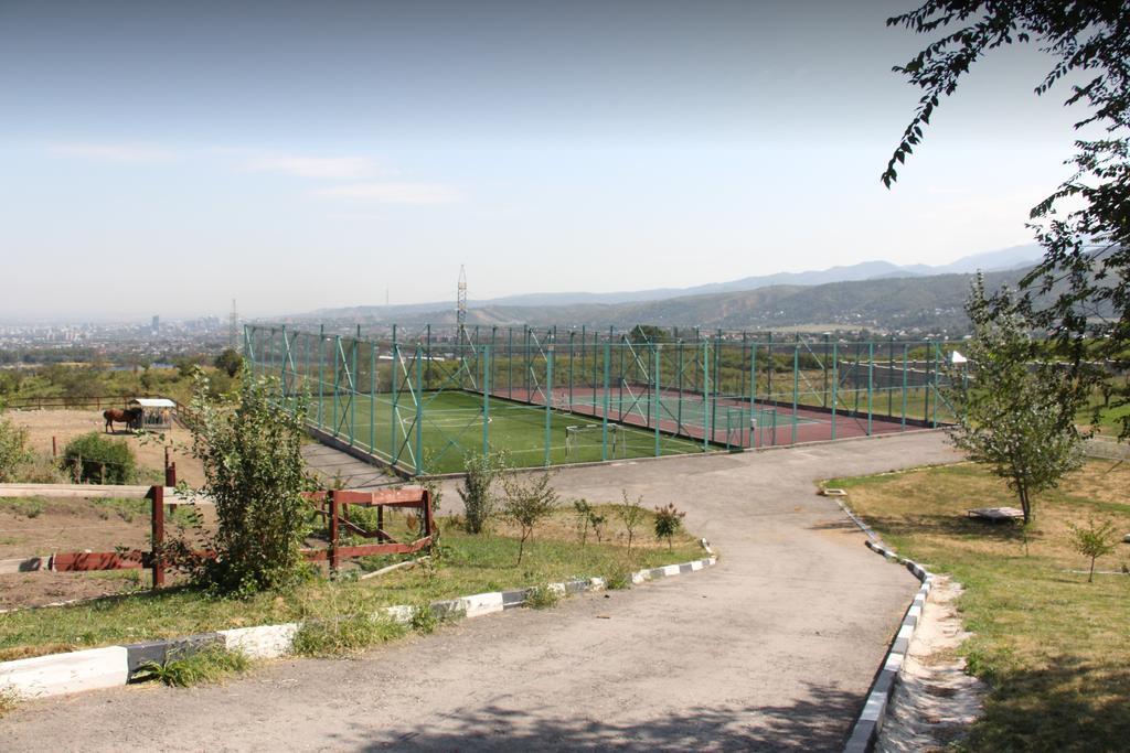 Chamberlain Теннис — фото 4