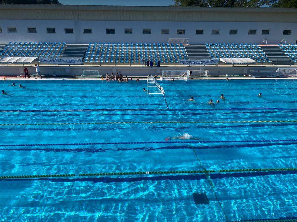 Дельфин — фото 2
