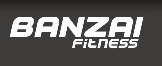 БАНЗАЙ IMPULSE — фото 1