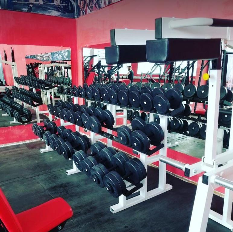 Power Gym — фото 7