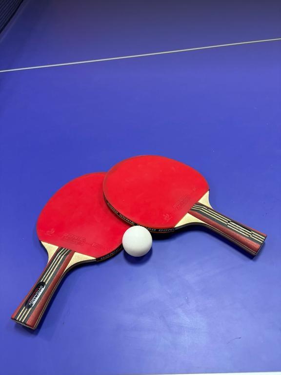 «BaQshaQ» - настольный теннис — фото 3