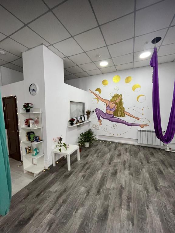 Студия женского фитнеса и йоги в гамаках "Гармония" в Сарани — фото 4