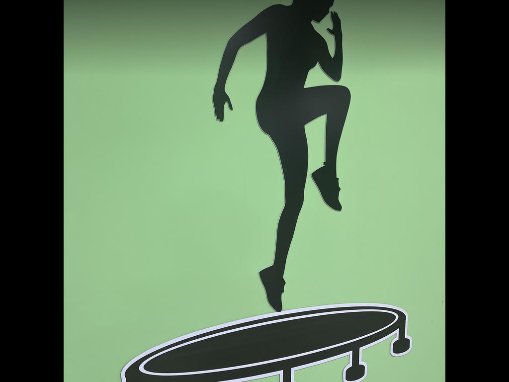 GULIA Fitness Jumping — фото 3