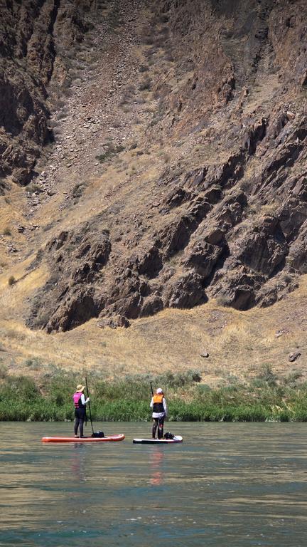 VIL View.Inspire.Live — фото 4