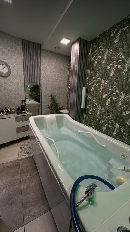 Cactus — фото 1