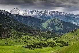 Move&Heal — фото 3