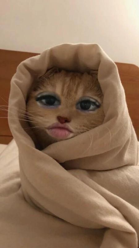 Банный комплекс Bulan: 🚿🛁🧽🧼