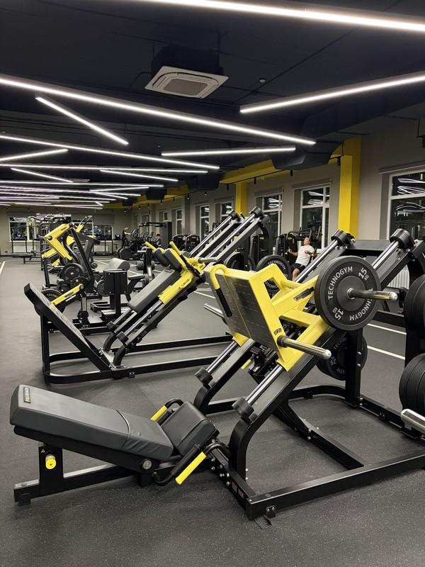 Alpha Gym: Everyone’s got a day off. I’ve got leg day🔥 My…