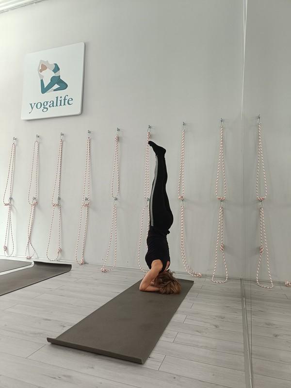 Yogalife: Возвращаюсь в форму, радуюсь и даже горжусь…