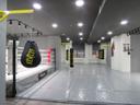 Bellator Fitness & Fight Academy