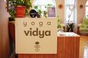Yoga Vidya