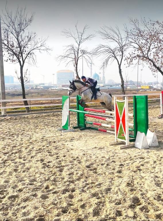 ASLAN HORSE CLUB