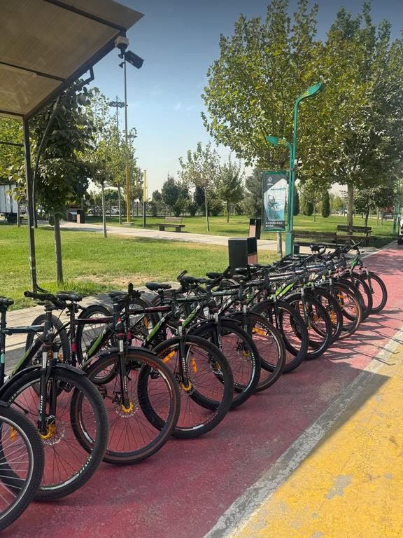 VeloZone - 12