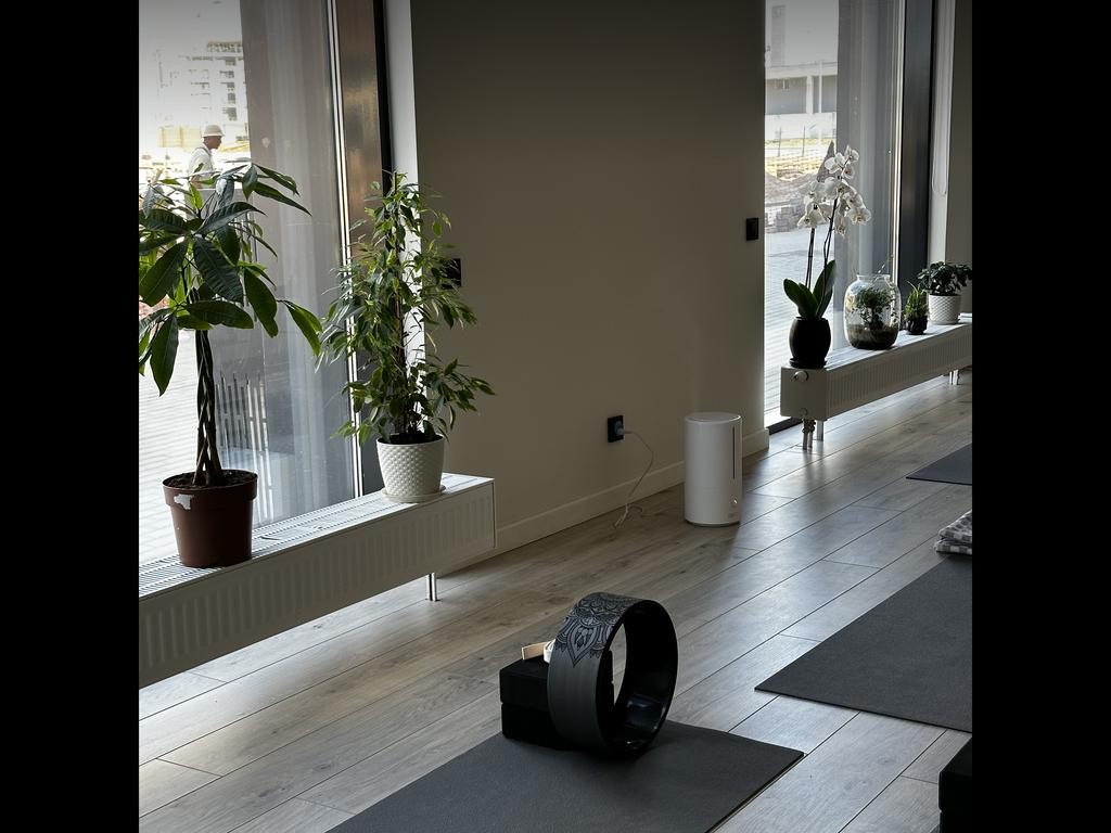 MadoYoga