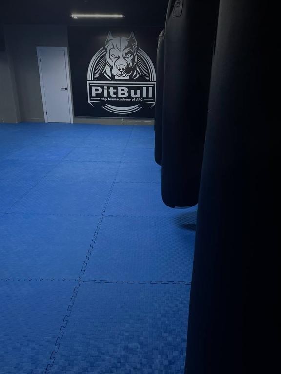 PitBull