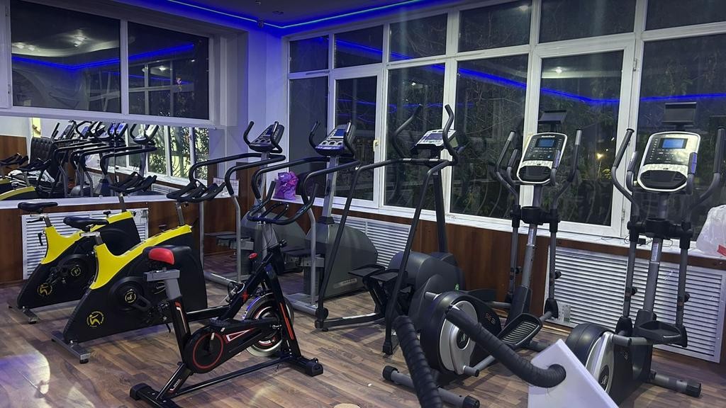 BOSS FITNESS