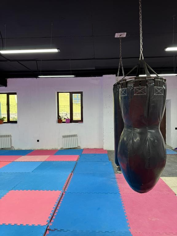 ALAMAN BOXING