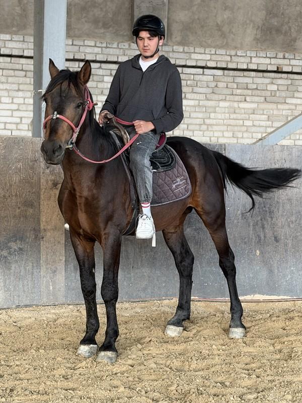 КСК Фазо-Тулпор: just me & the horses 🐎
