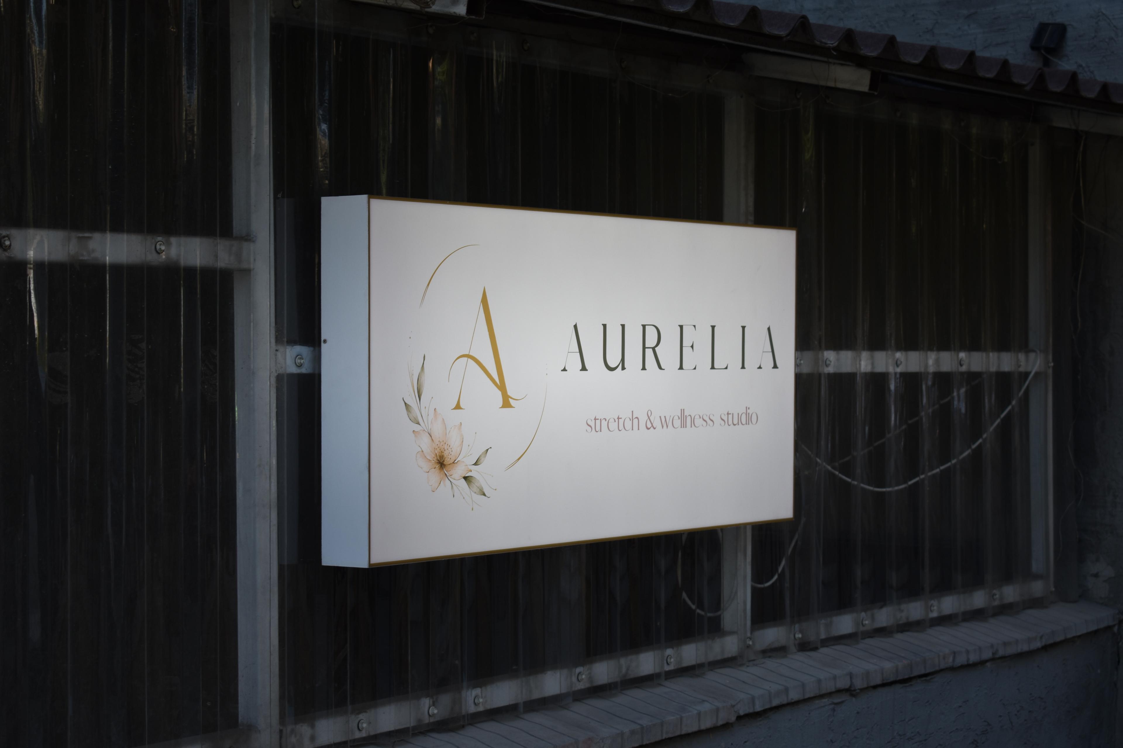 Aurelia studio image